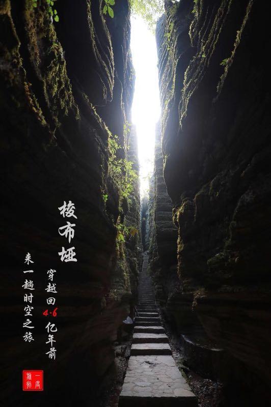 沪江开心词场