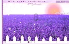 沪滇志愿行 | 山海一线牵 共谱振兴曲