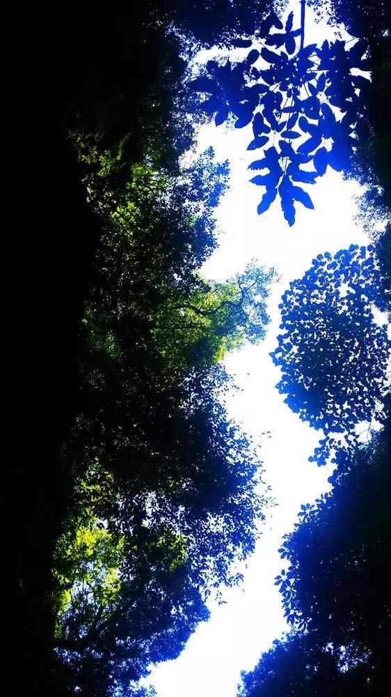 新研究是怎样揭示癌细胞产生抗药性的机制的?知识星球 - 分享与学习的平台