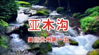 骗子的谎言