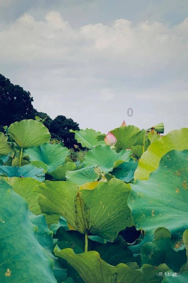 密室之逝夜流转