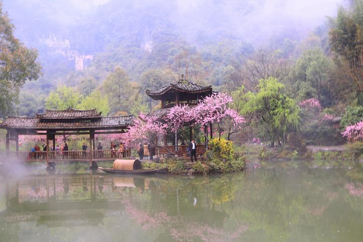 逃离梦想之家