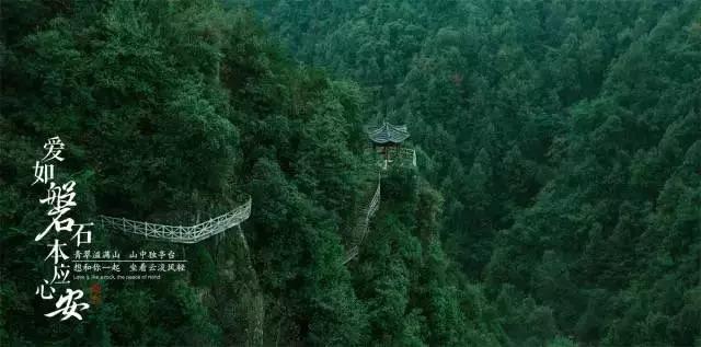 小猫钓鱼游戏龙王版有船