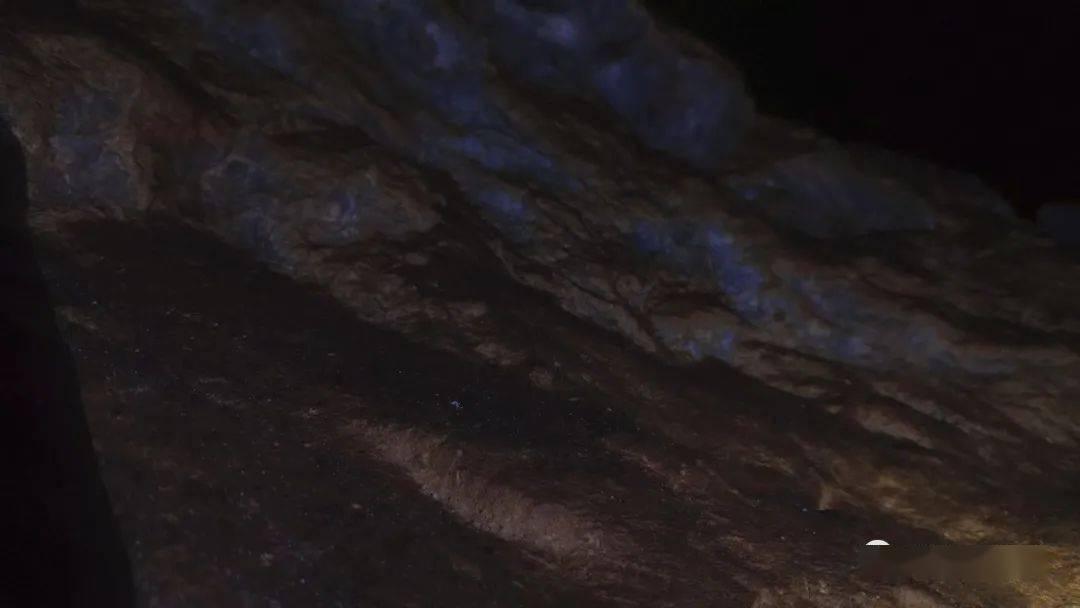 华为官宣：淘宝正式启动鸿蒙原生应用开发