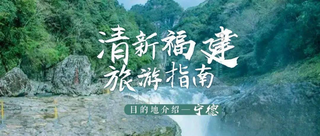 有趣的动物拼图