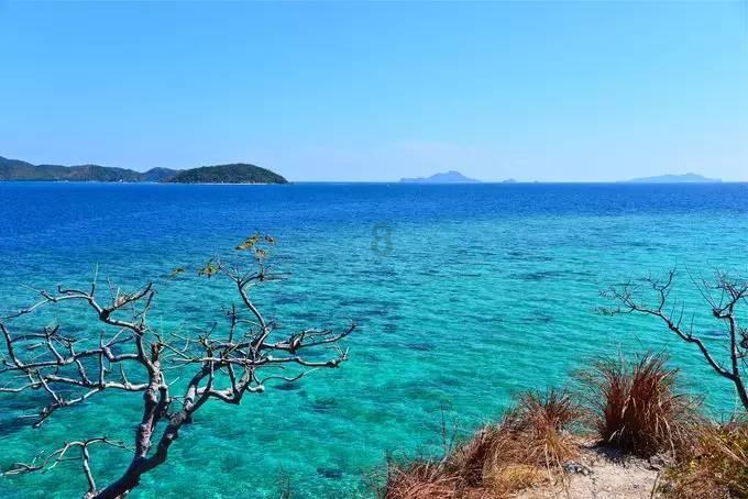沪江开心词场