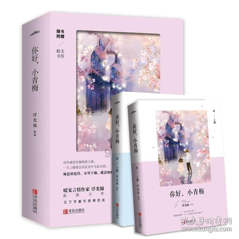 组装机械恐龙3