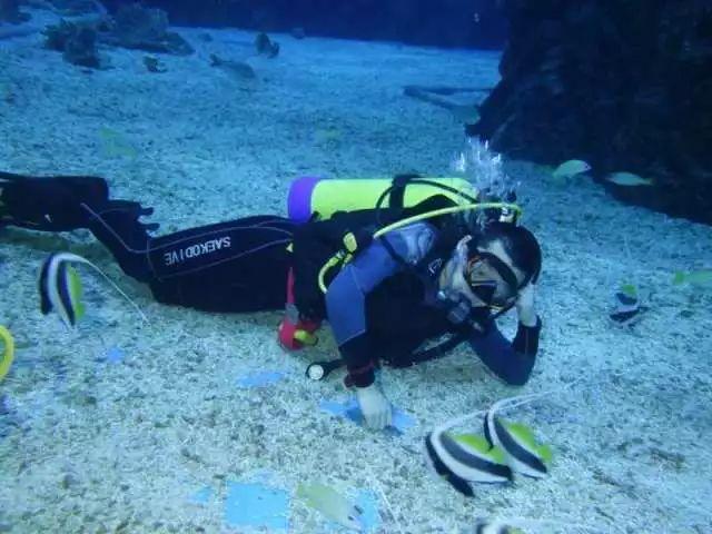虫虫助手下载