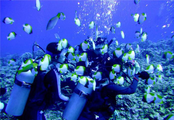 全民烧脑3去广告版