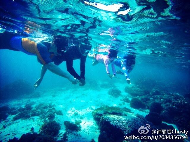 射击红色鸟