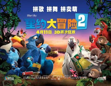 胖小猫救援