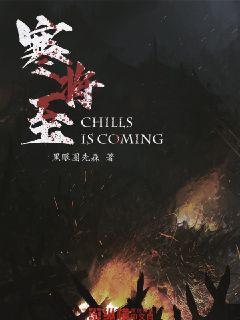 影子忍者传说