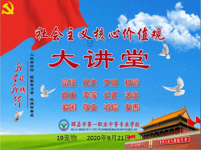 小猫钓鱼开船版最新版下载