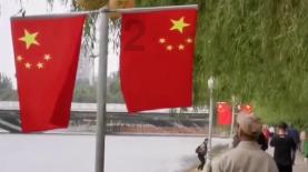 诱捕小浣熊