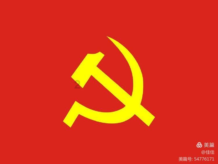 寂静森林找星星