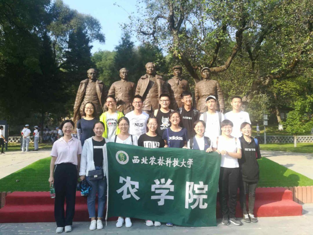 南岗司法所： “四化”打出敬老服务“组合拳”