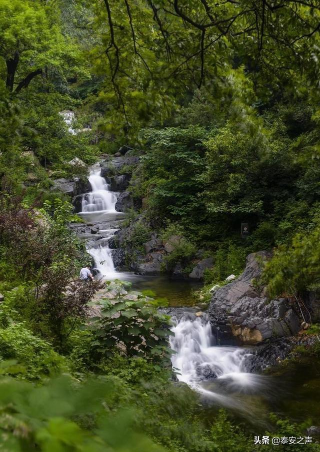 熊出没百层大冒险