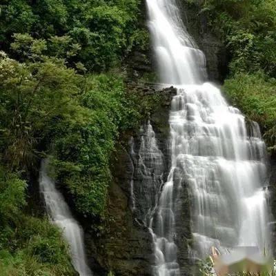 高级宠物训导师怎么报考？考哪些内容 难度大吗？需要哪些条件？