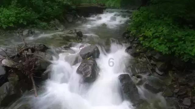 比杨洋还油，居然号称第二个胡歌：哪来的脸啊！