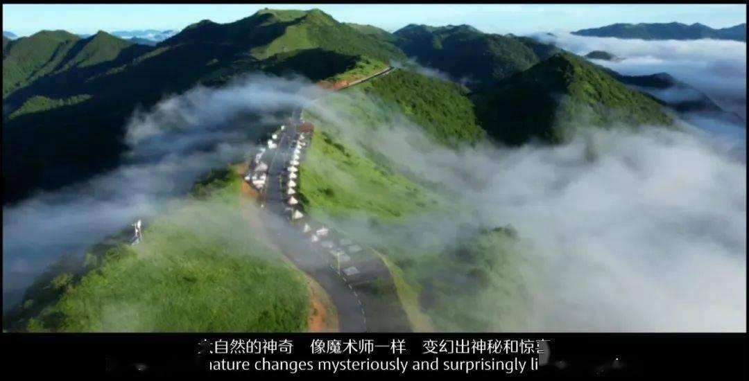Alector Inc盘中异动 早盘快速拉升5.10%