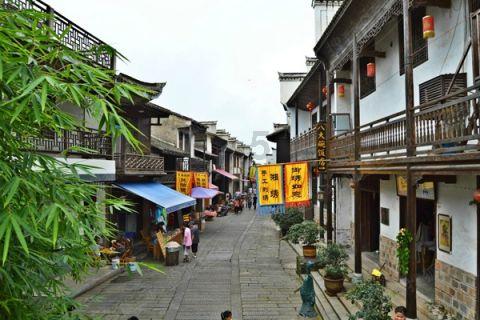 红树林逃生
