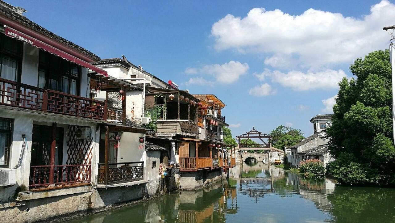茂密丛林逃生