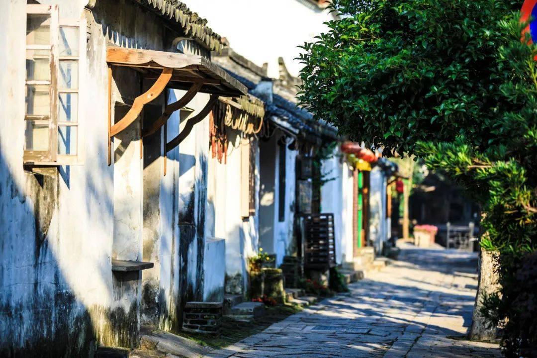 智慧问答网页——开启你的为什么宿舍里吃东西必须要分给舍友?之旅