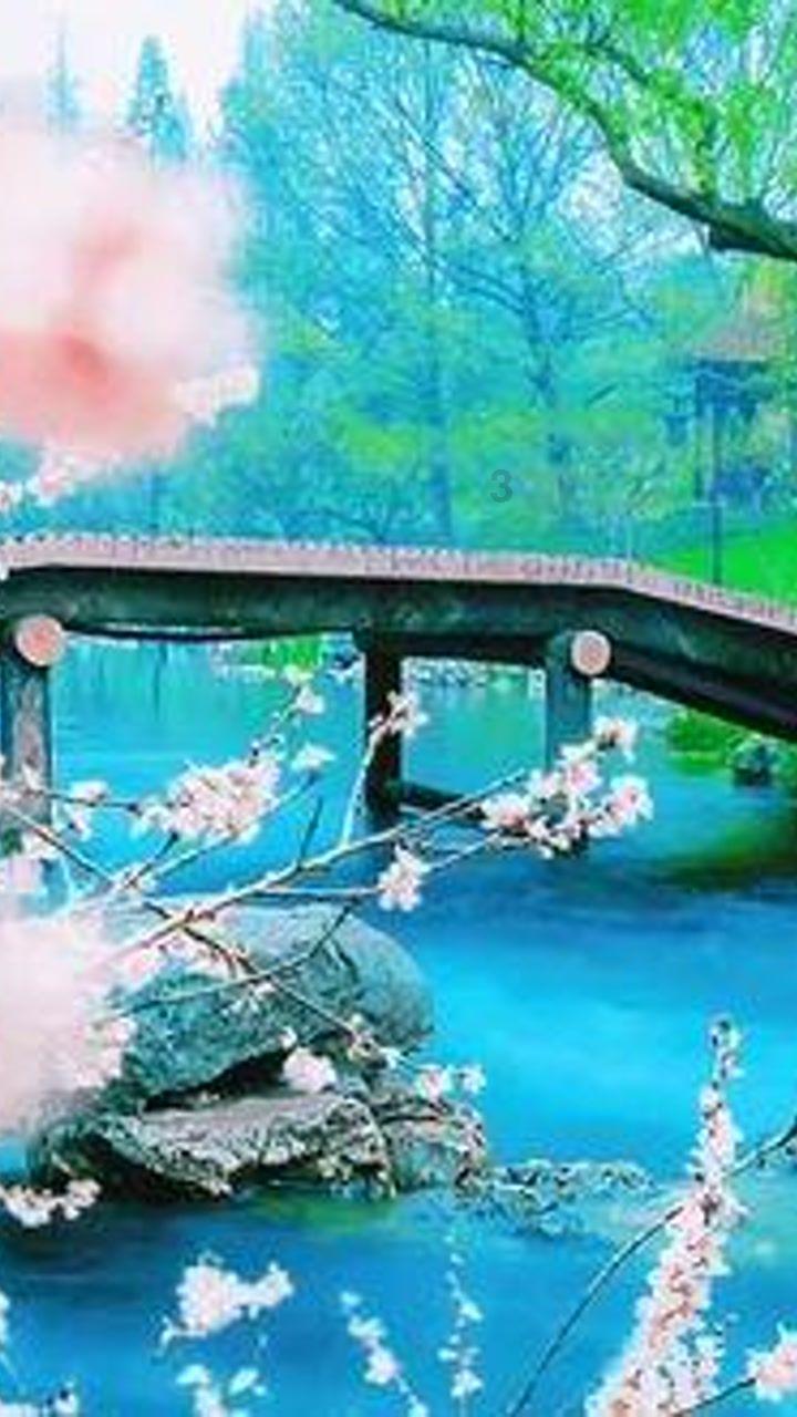 冠军射击手